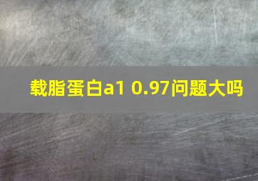 载脂蛋白a1 0.97问题大吗